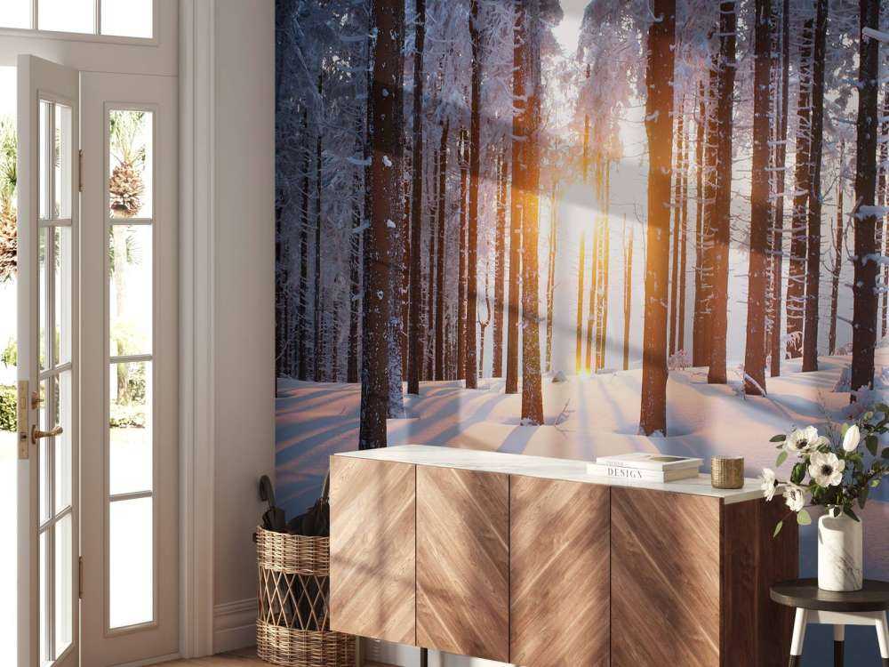 Solnedgang i en vinterskog