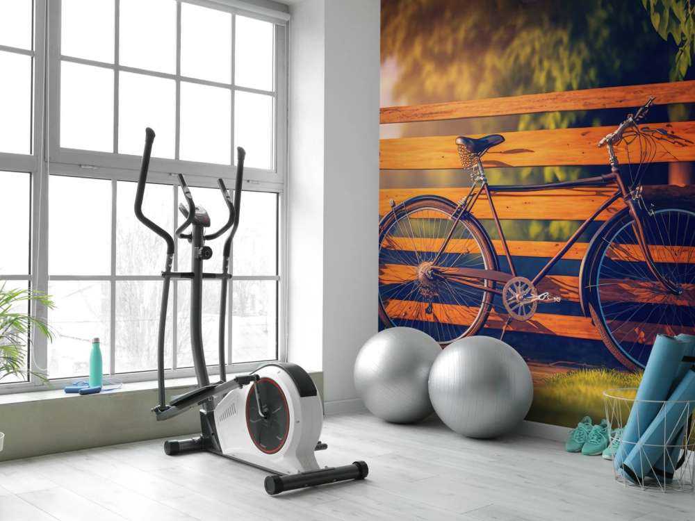 Sykle nær et tregjerde