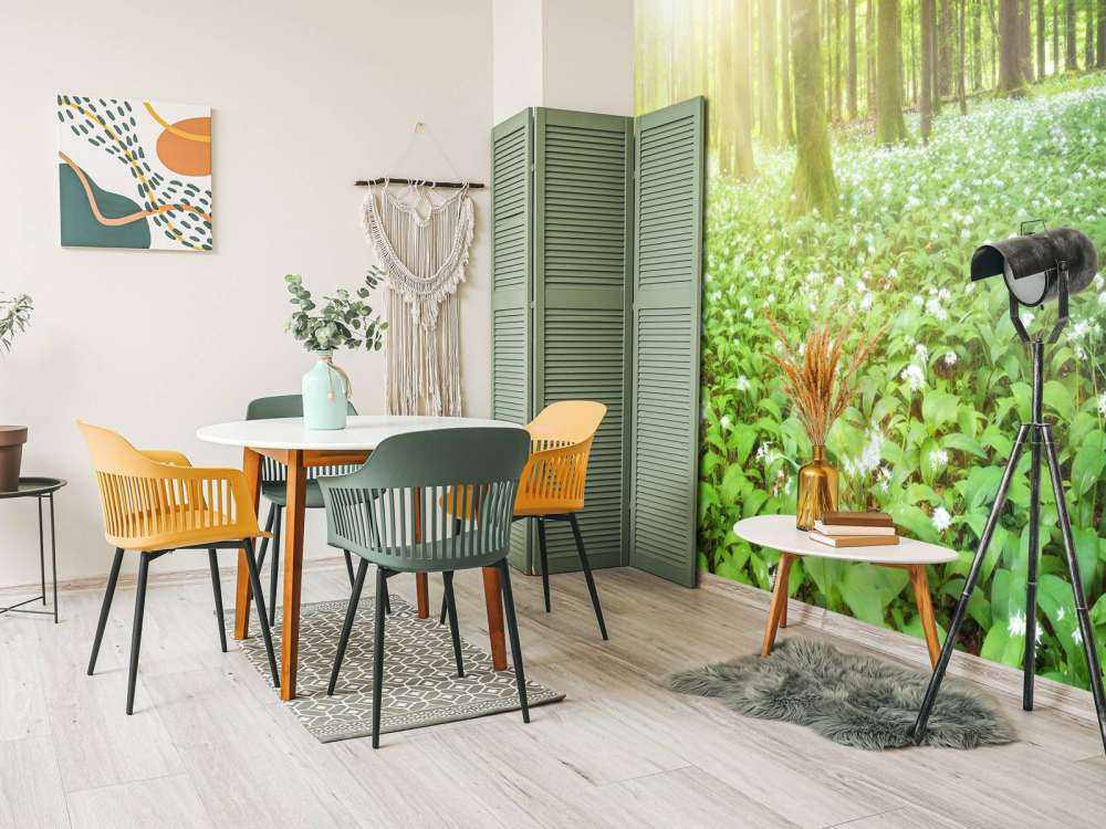 Vill skog ved soloppgang