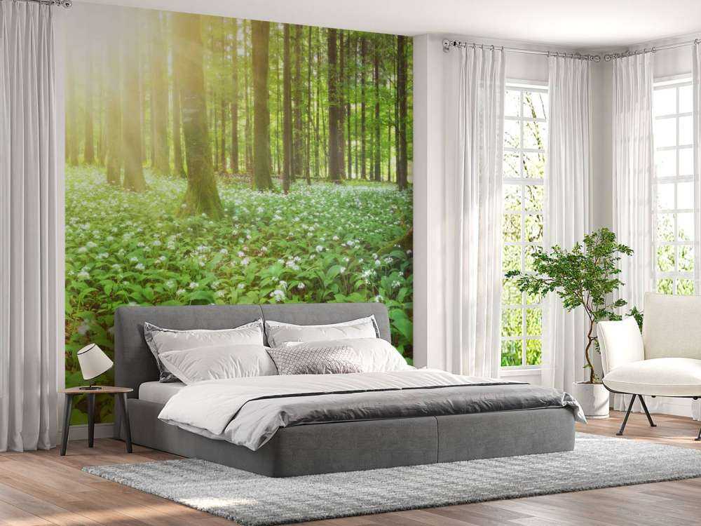 Vill skog ved soloppgang