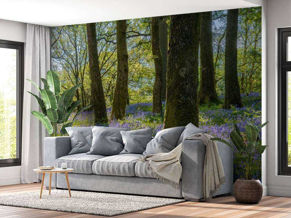 Vårpanoramaa i en skog