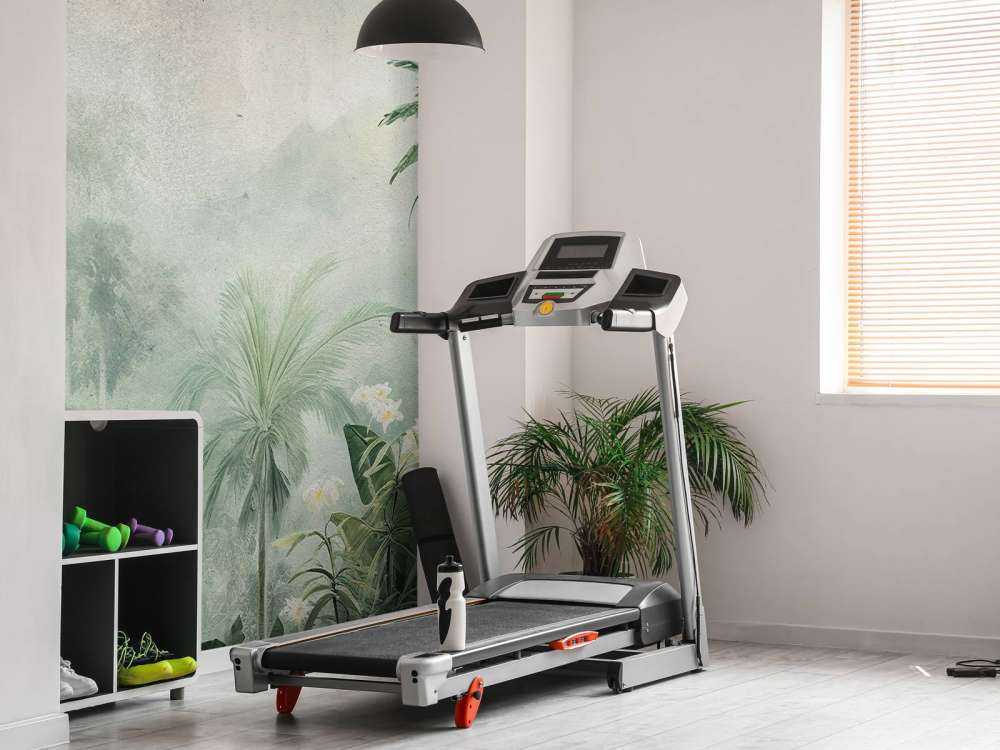 Tåkete Tropisk Mysterium