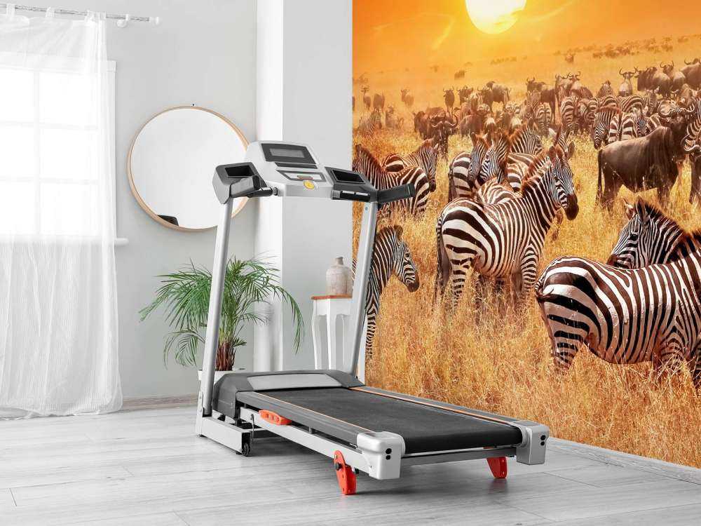 Savanna sol med zebraer