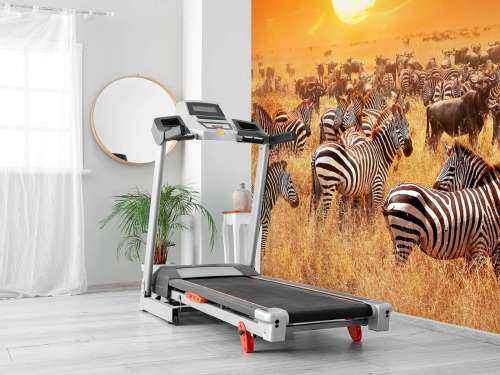 Savanna sol med zebraer