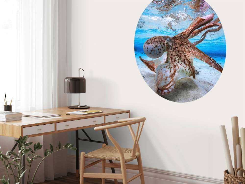 Dancing Octopus