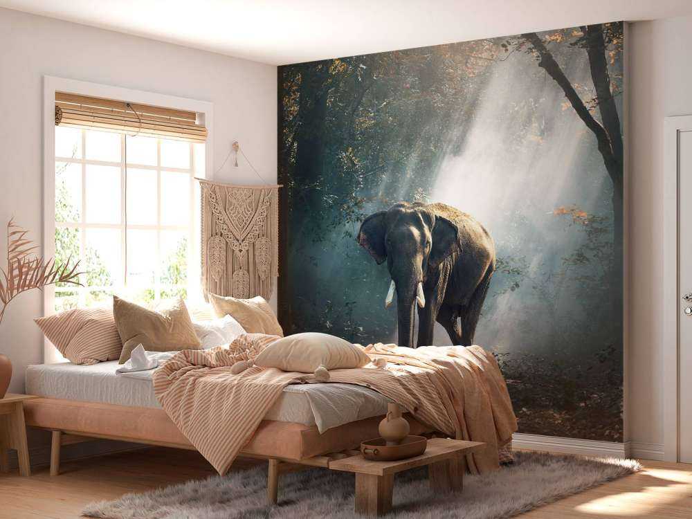 Elefant i en jungle