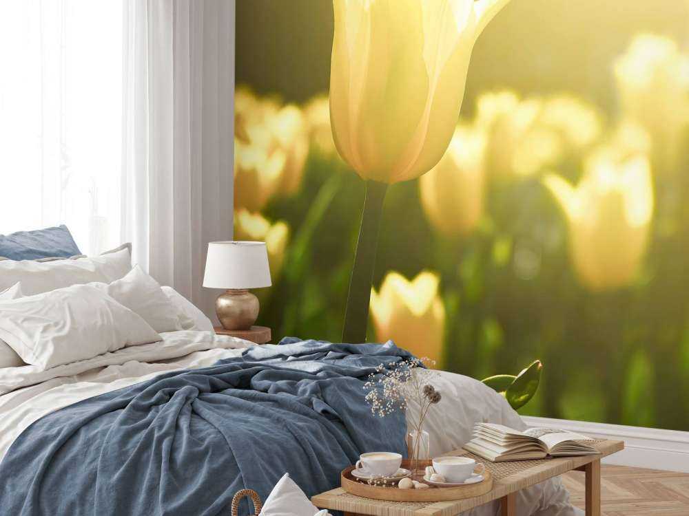 Nærbillede gul tulipan