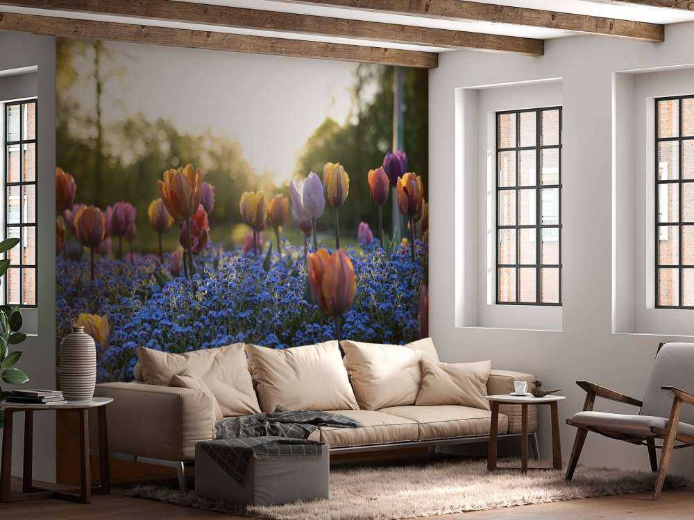 Munter tulipanfelt