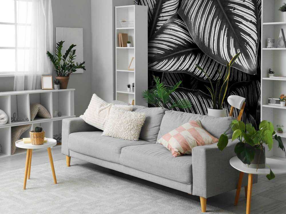 Sort og hvide palme blade