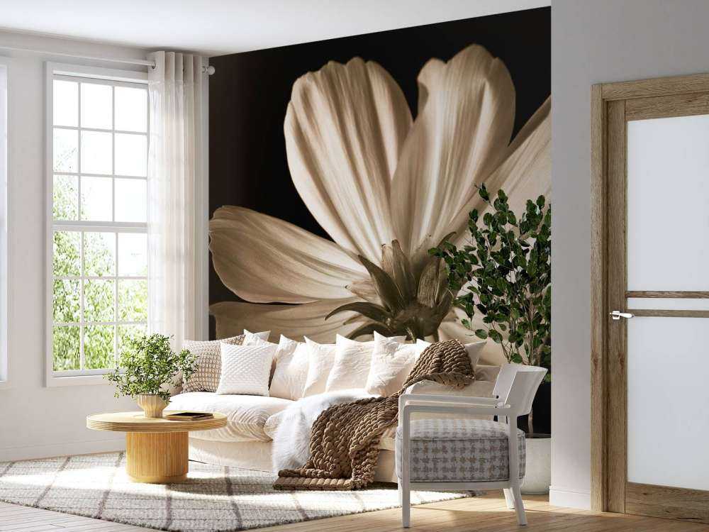 Cosmos-blomst nedefra