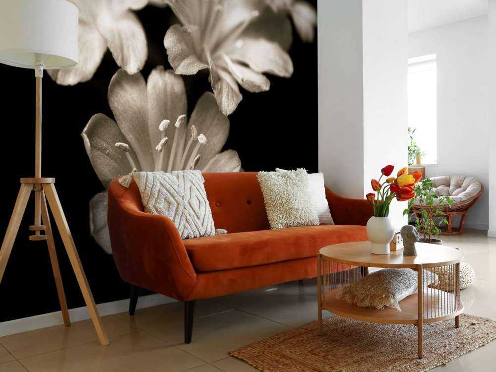 Lewisia-blomst i nærbillede