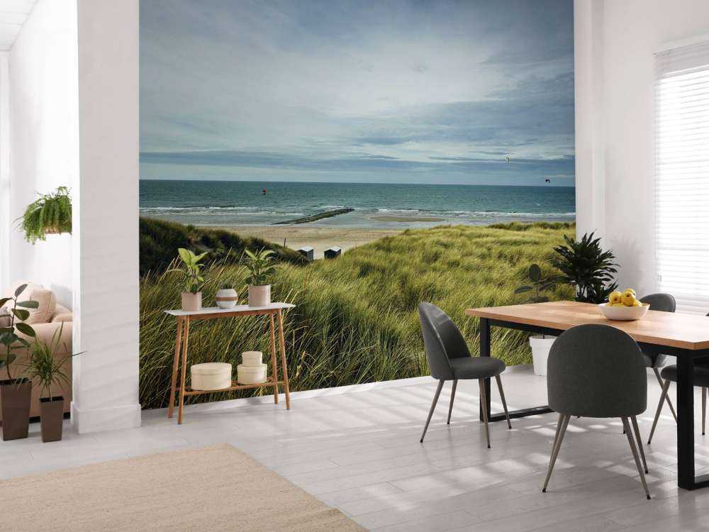 Stranden fra klitterne