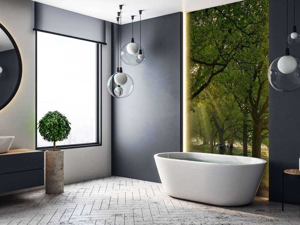 Sti mellem egetræer