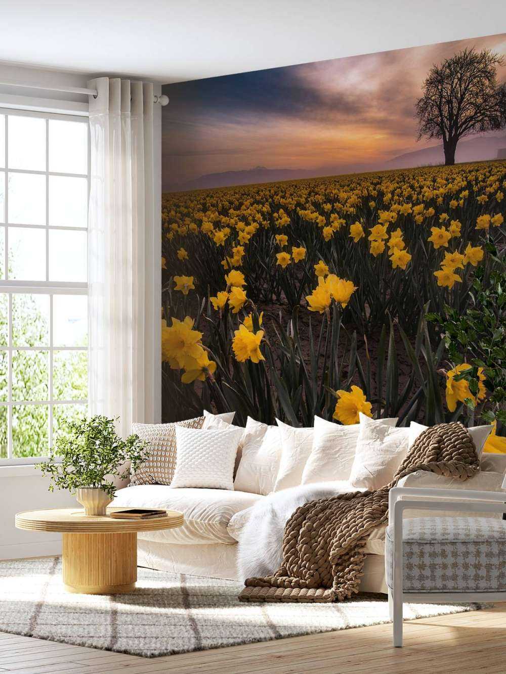 Mark med påskeliljer