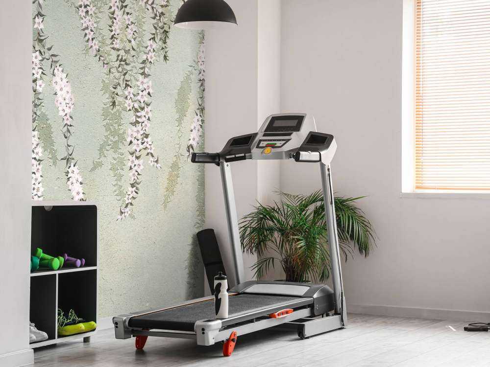 Blomstergrene på grøn beton