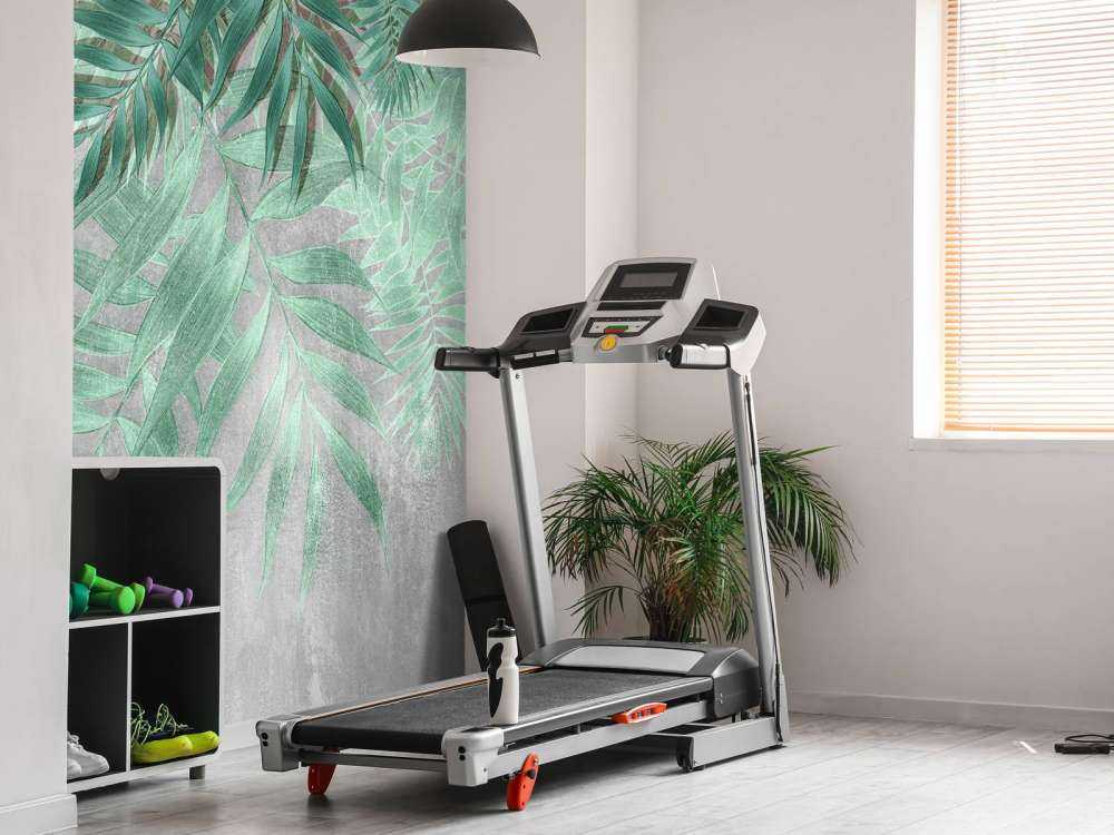 Grønne palmeblade med grå betonvæg