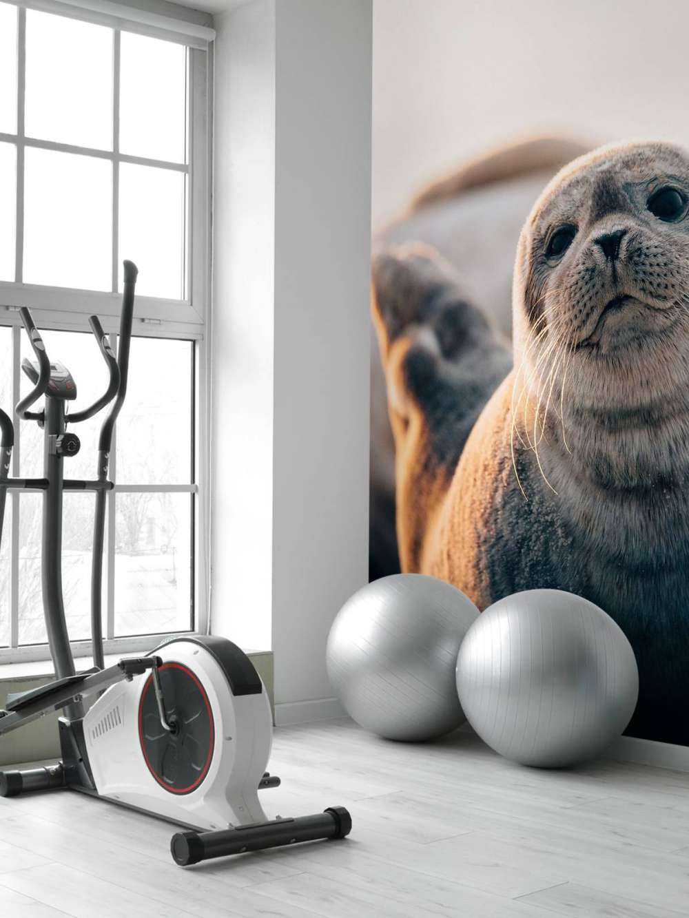 Sæl på stranden i aftenlys