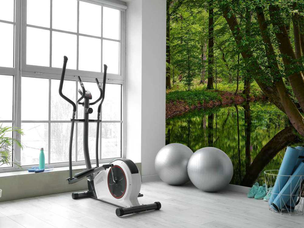 Buede Traer ved vannet