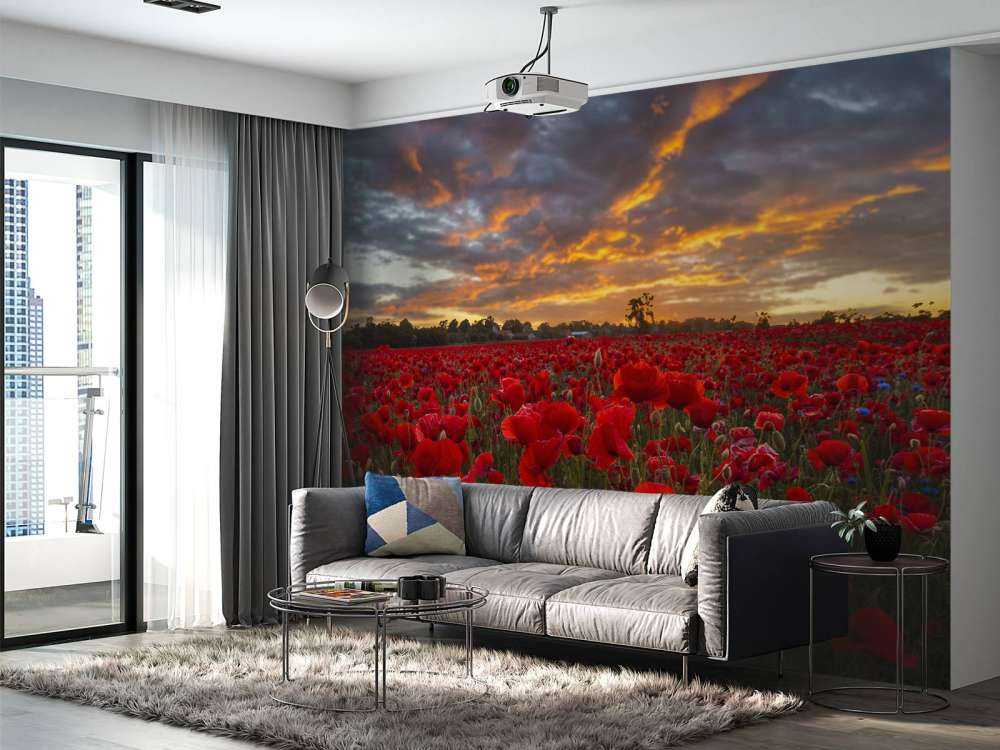 Valmuefelt med vakker himmel