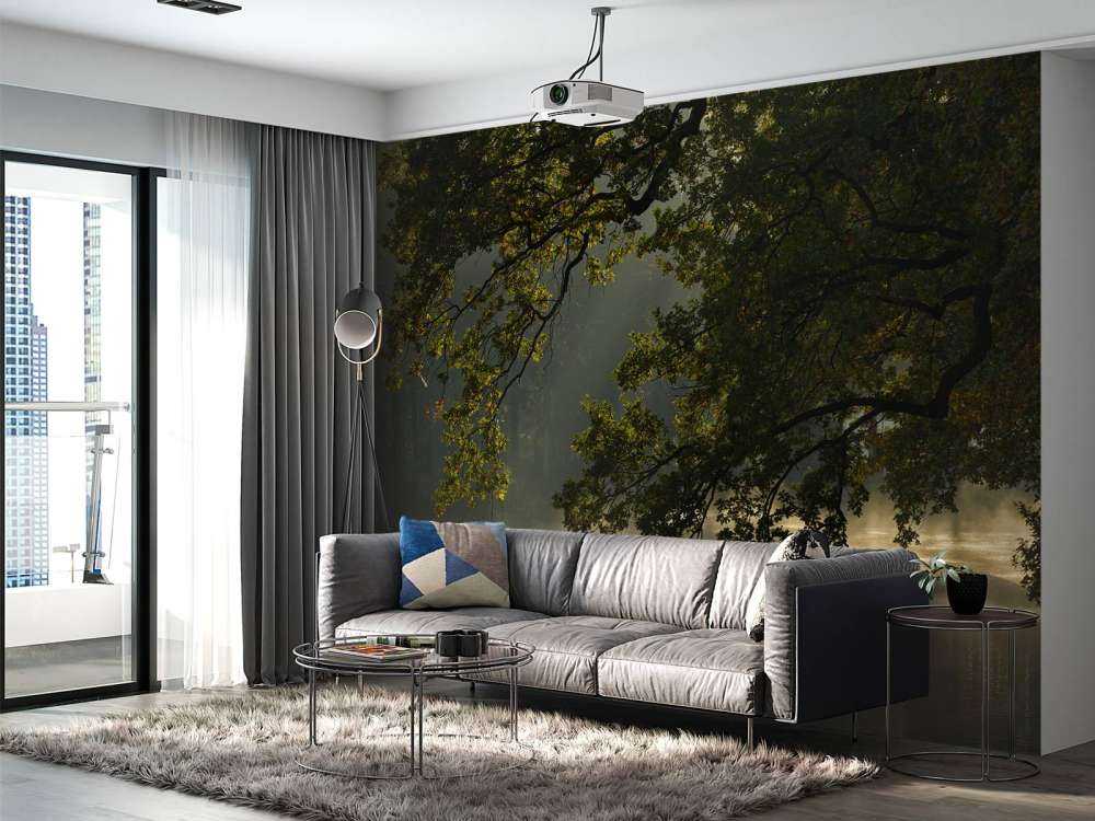 Overhengende grener over vannet