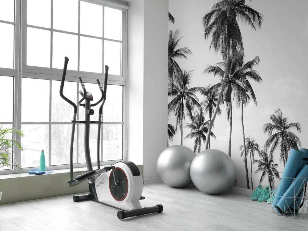 Palmer i svart og hvitt