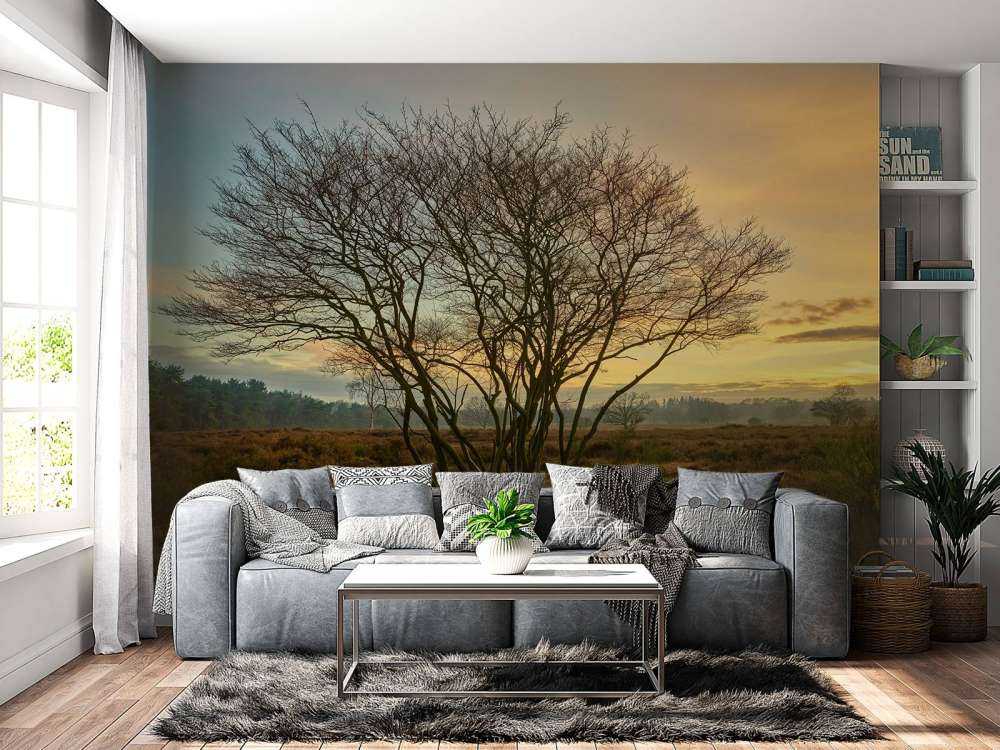 Soloppgang over heien