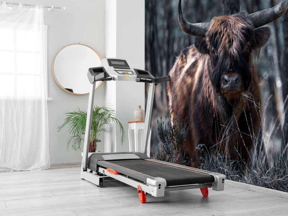 Det skotske høylandet