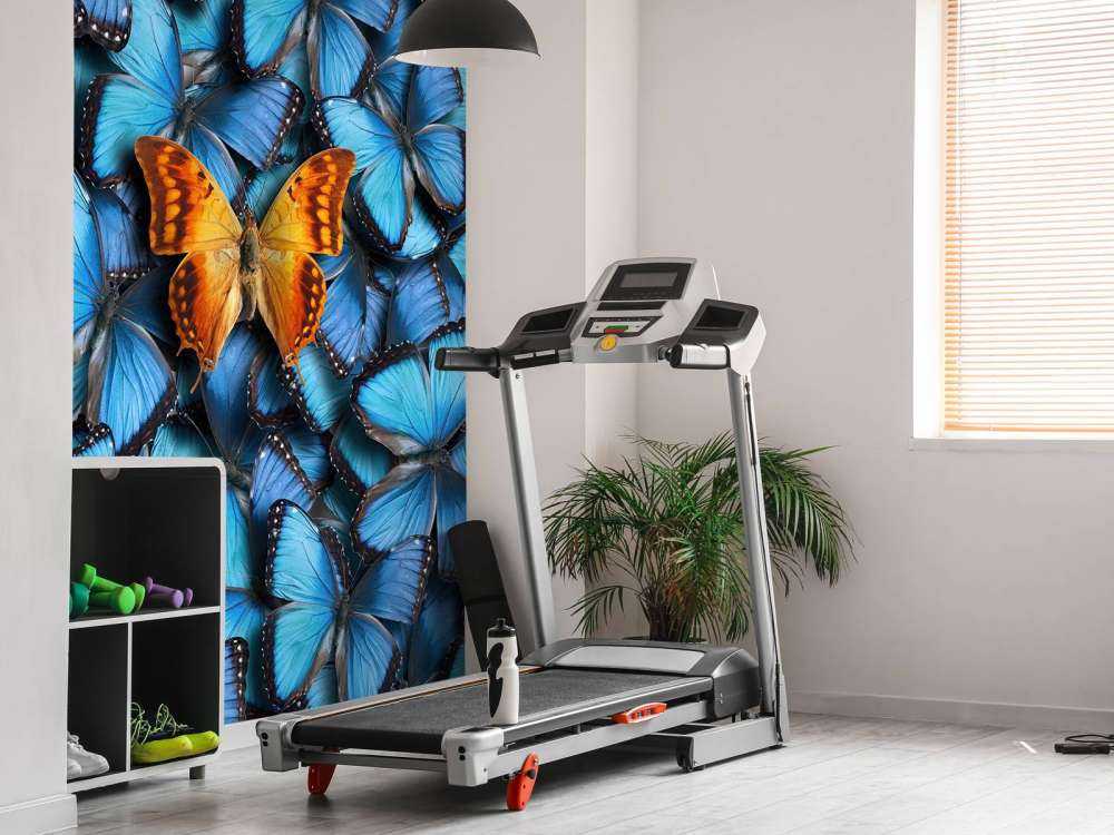 sommerfugl komposisjon