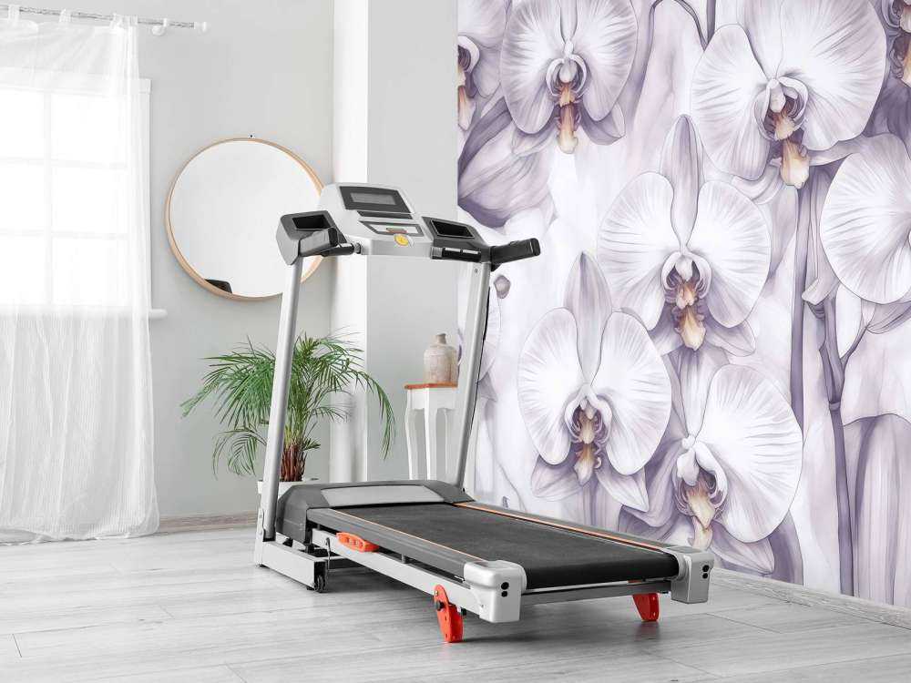 Orkideer Paradis Lilla