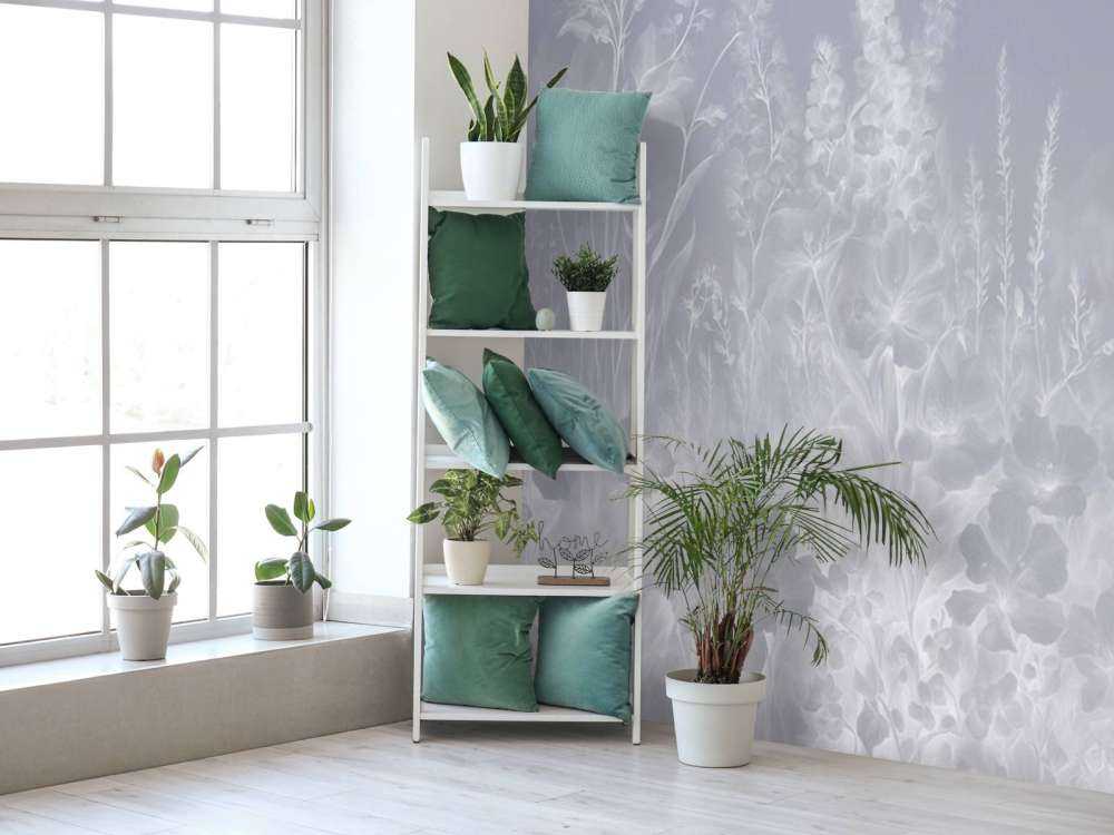 Søt engelsk hage - lilla