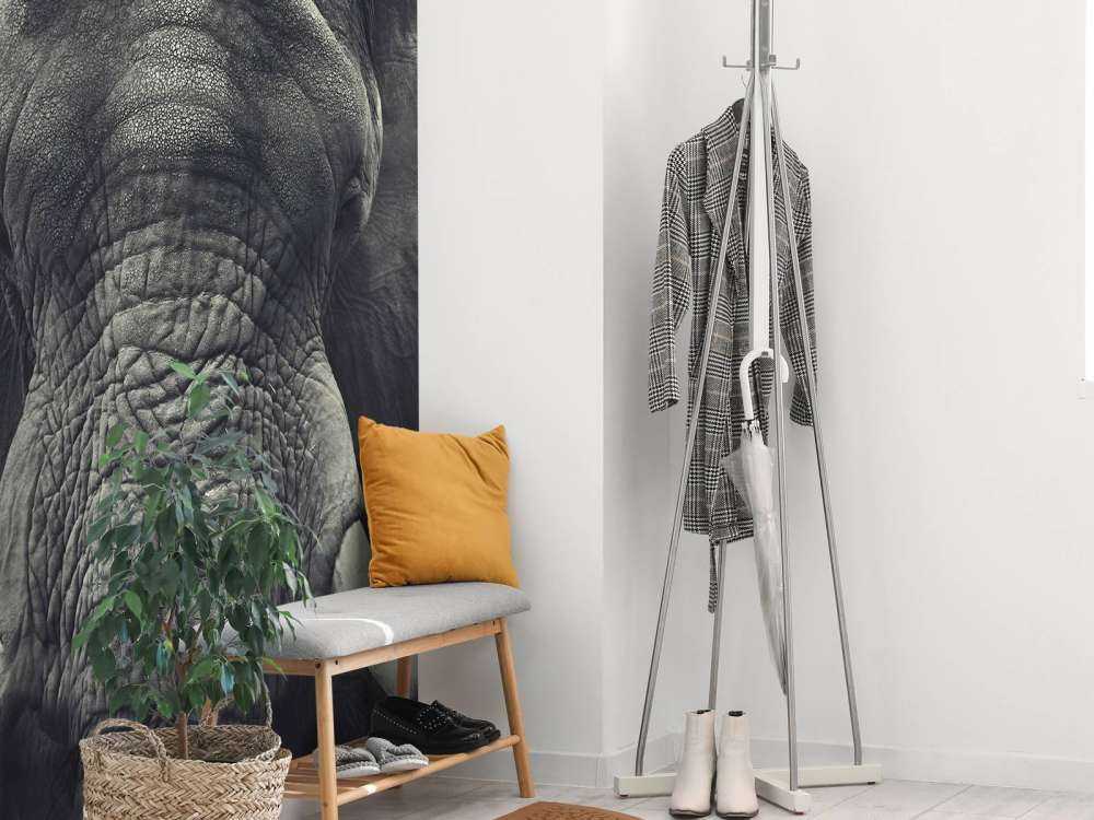 Nærbilde av en elefant