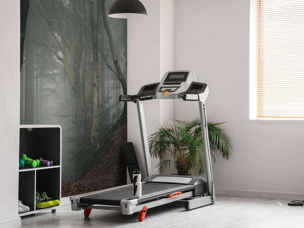 Vei gjennom mystisk skog