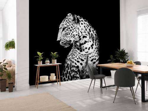 Dark Leopard