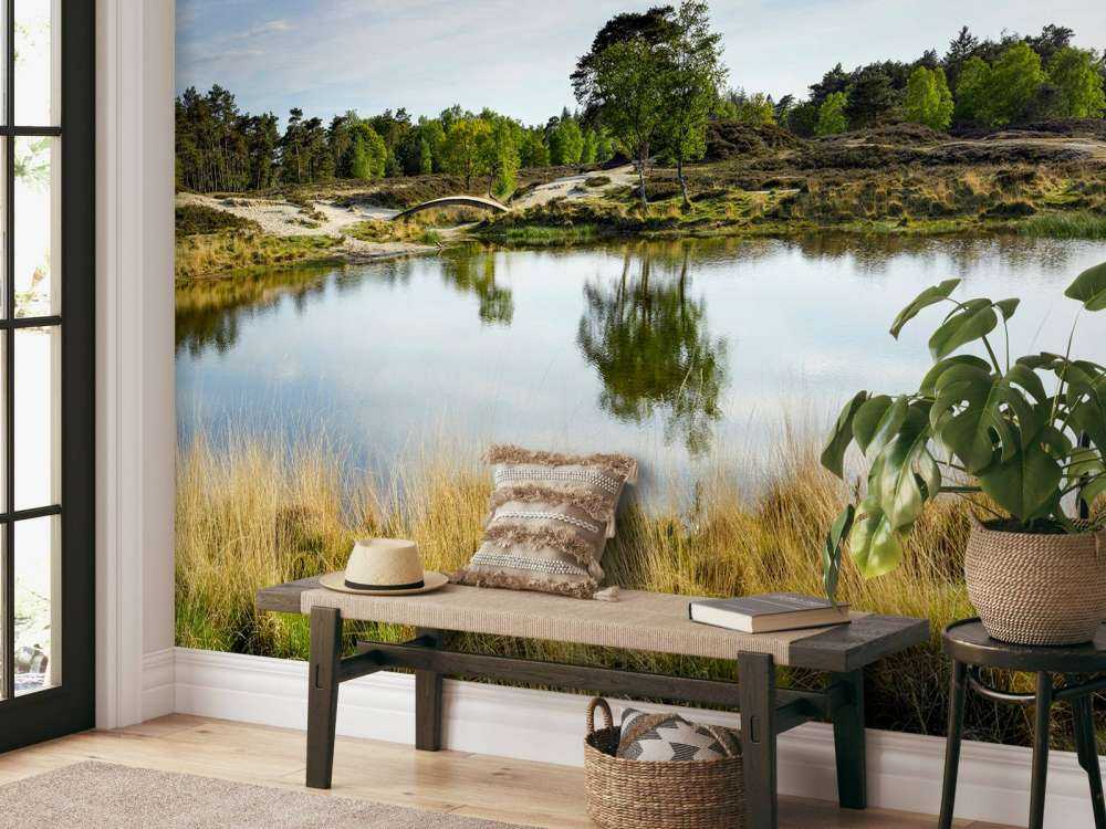 En liten skogsjø i lyngområdet