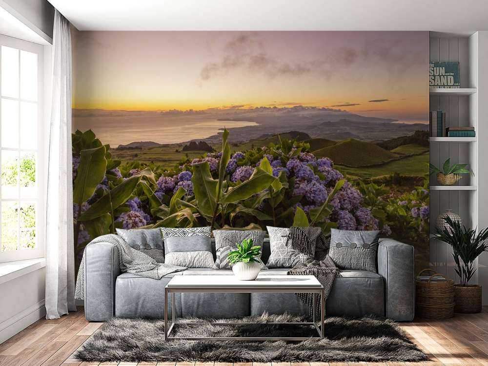 Solnedgang med hortensia