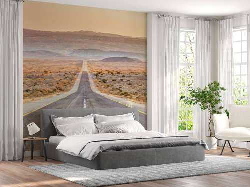 Highway through desert