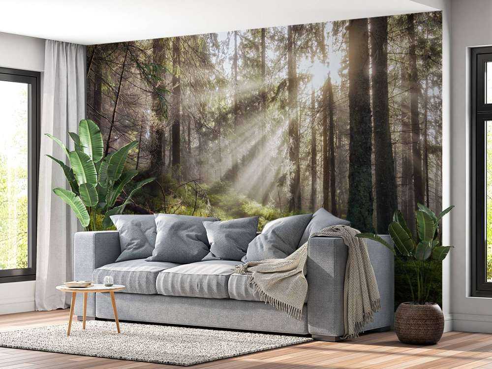 Høstskog med solskinn