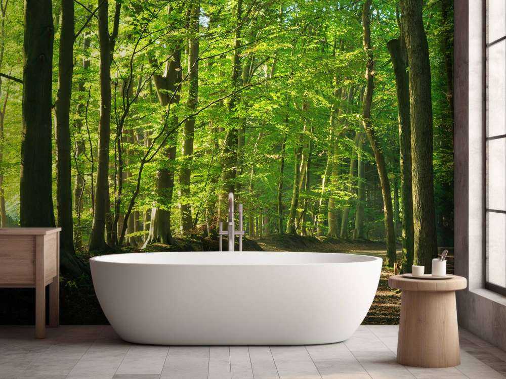 Solrik vei gjennom en skog