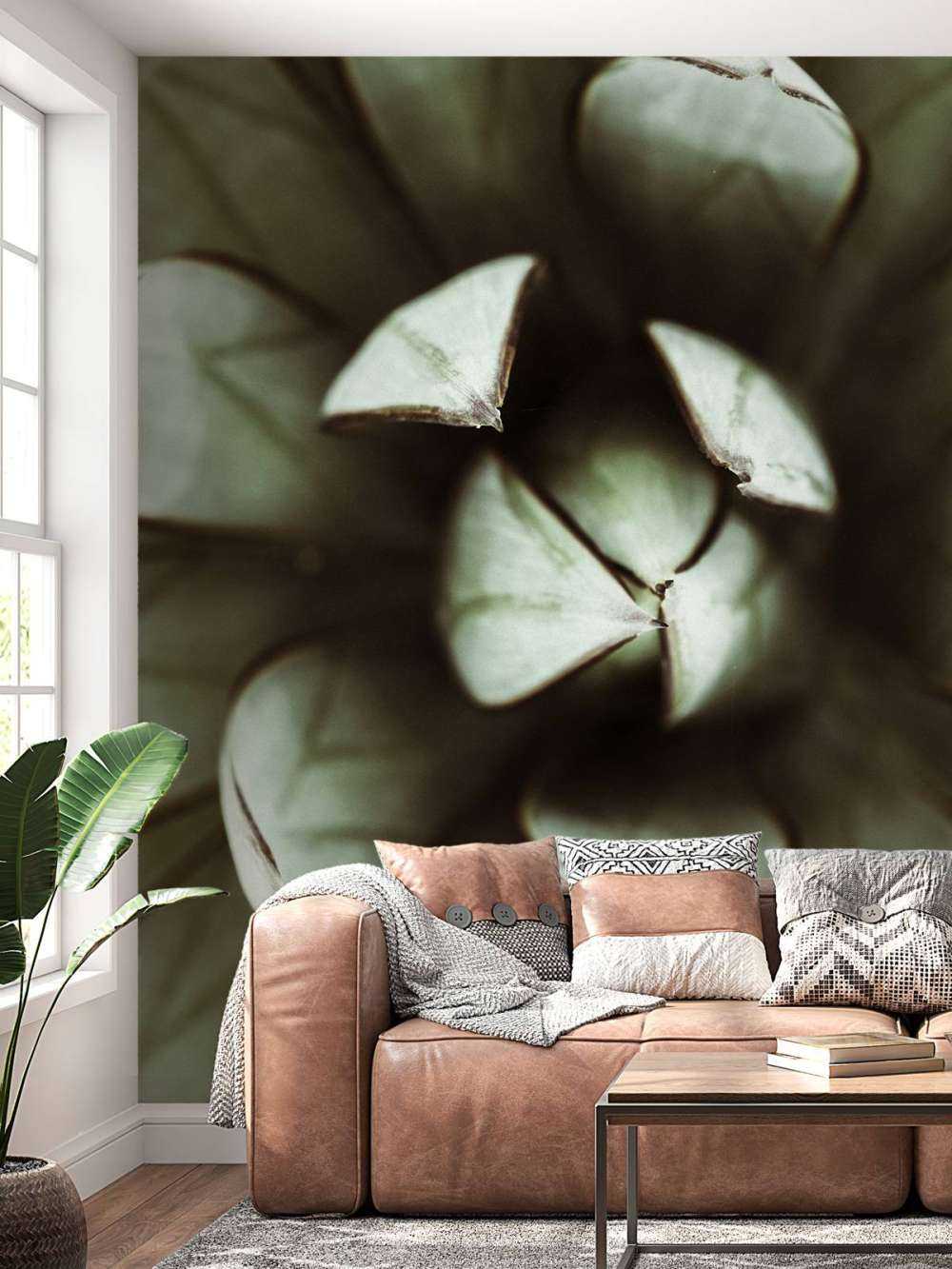 Fett plante