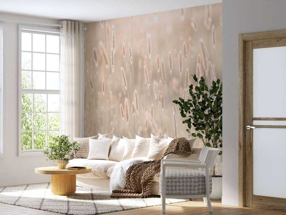 Ängen i solnedgången