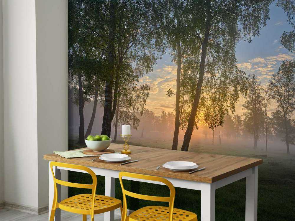 Soluppgång vid björkarna