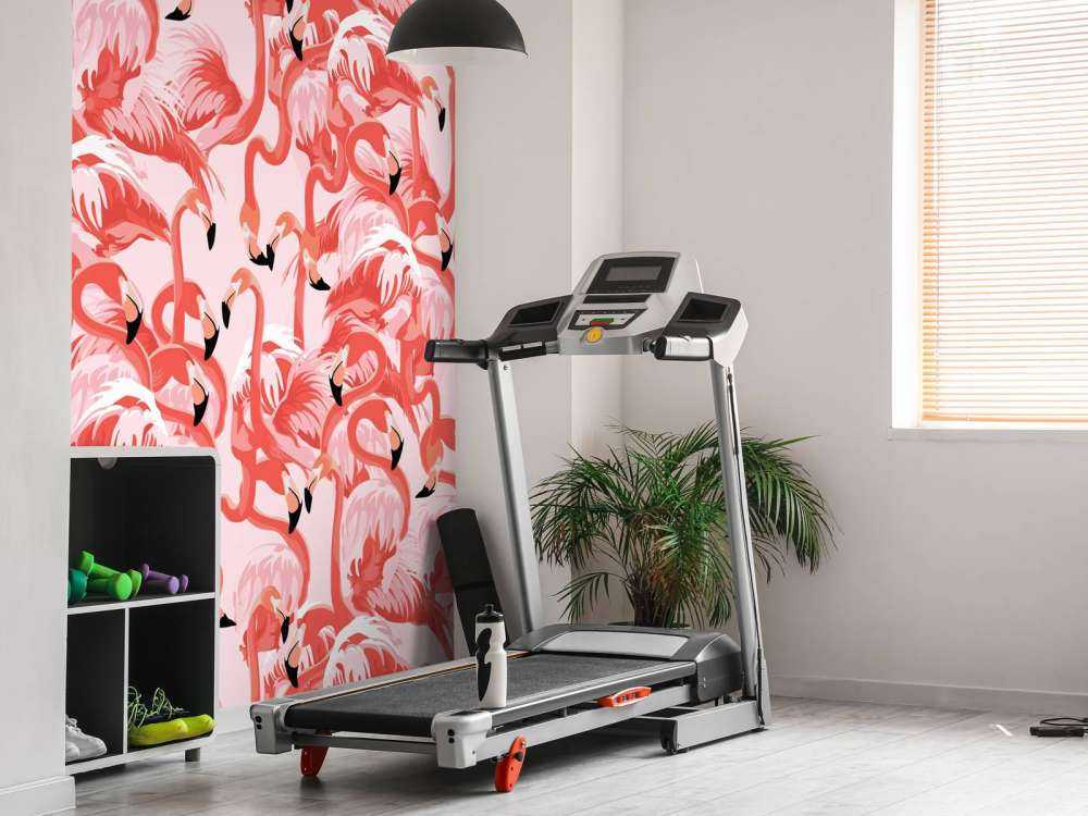 Exotiska flamingos