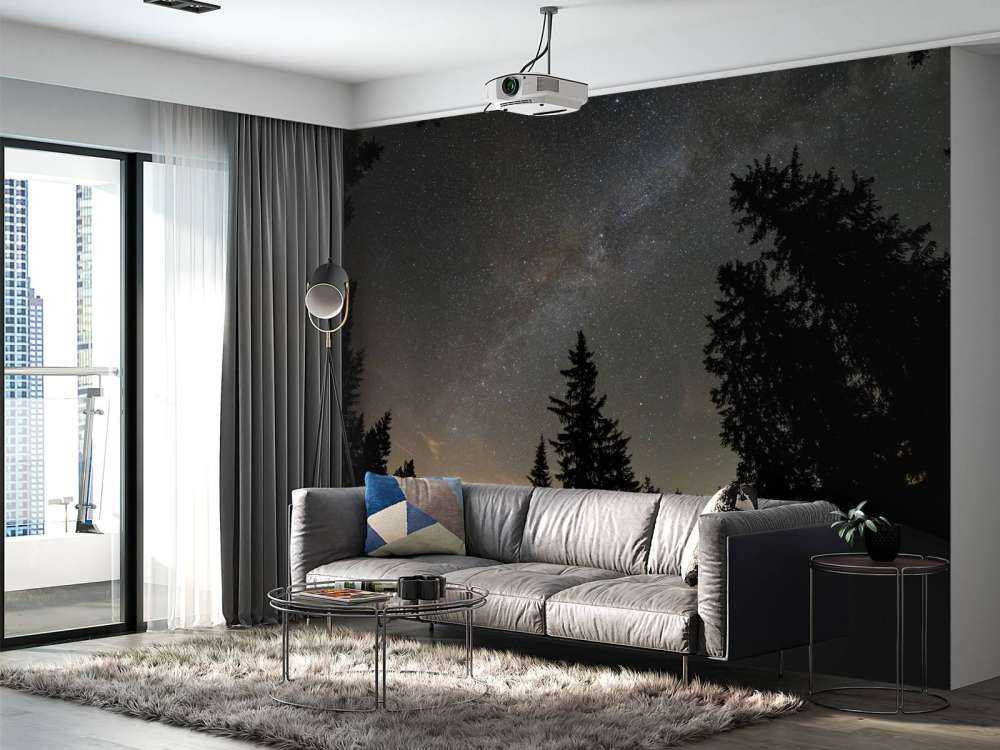 Himmel full av stjärnor