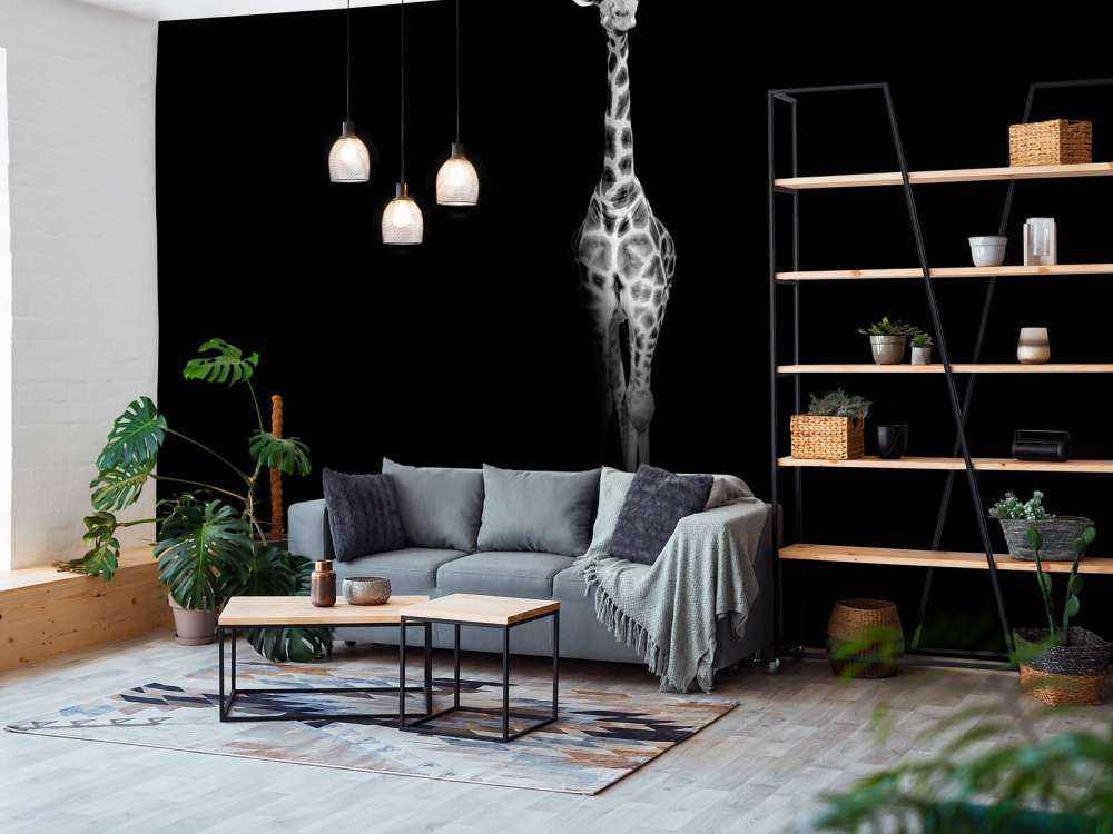 Giraff svartvitt