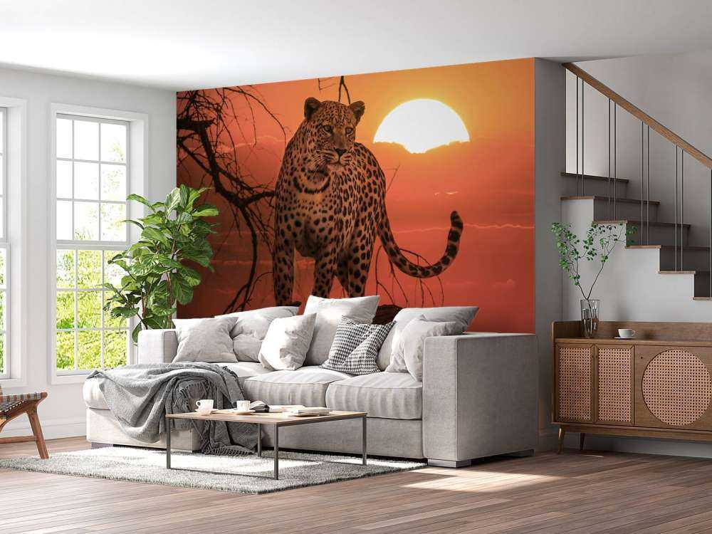 Leopard med solnedgång
