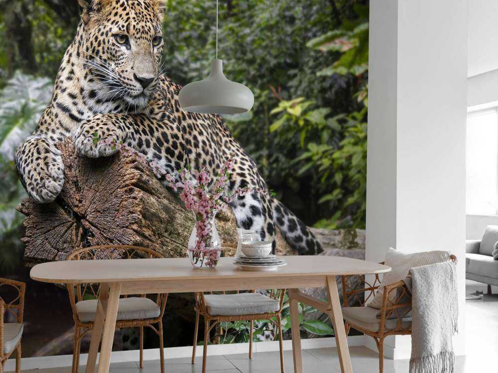 Leopard på träd