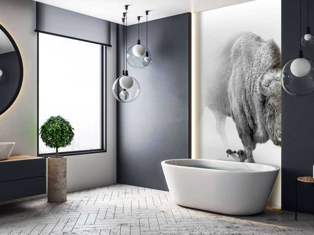 Bison svart, vit