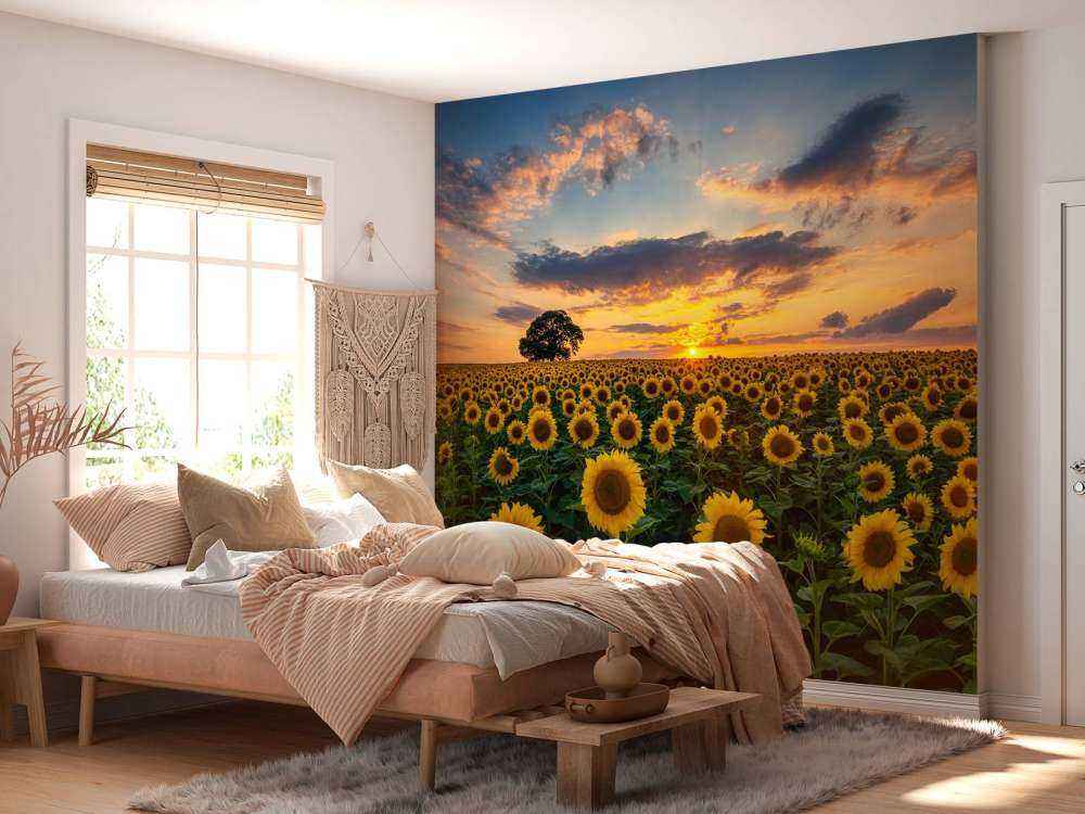 Fält fullt av solrosor