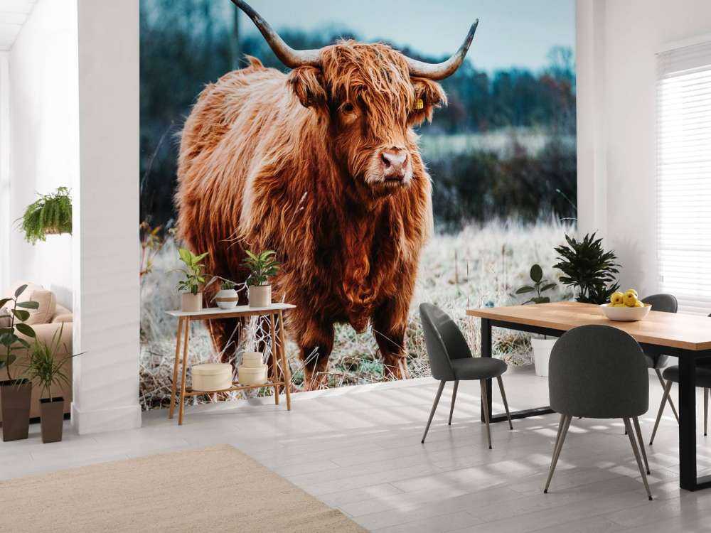 Skotsk hoglandare i skogen