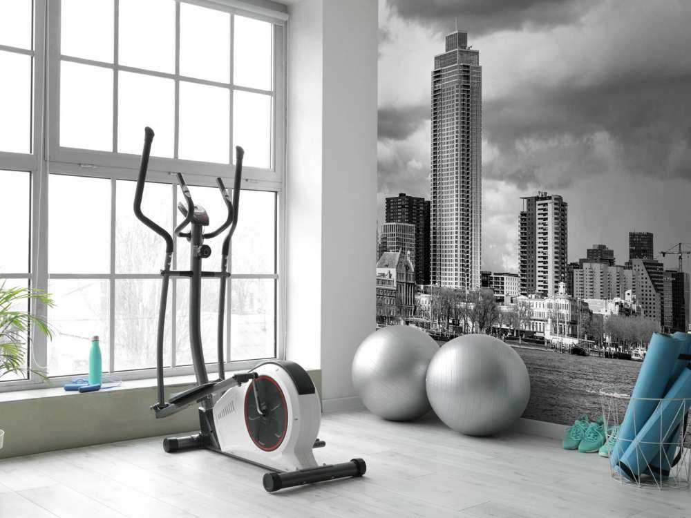 Skyline Rotterdam (Westerkade) från Katendrecht (svartvitt) 